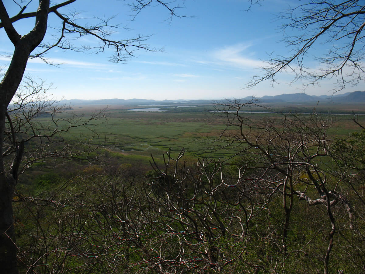 Palo Verde National Park Costa Rica's Biodiversity Haven LAC Geo